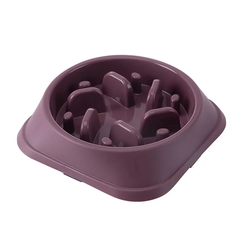 Pets Slow Feeder Bowl