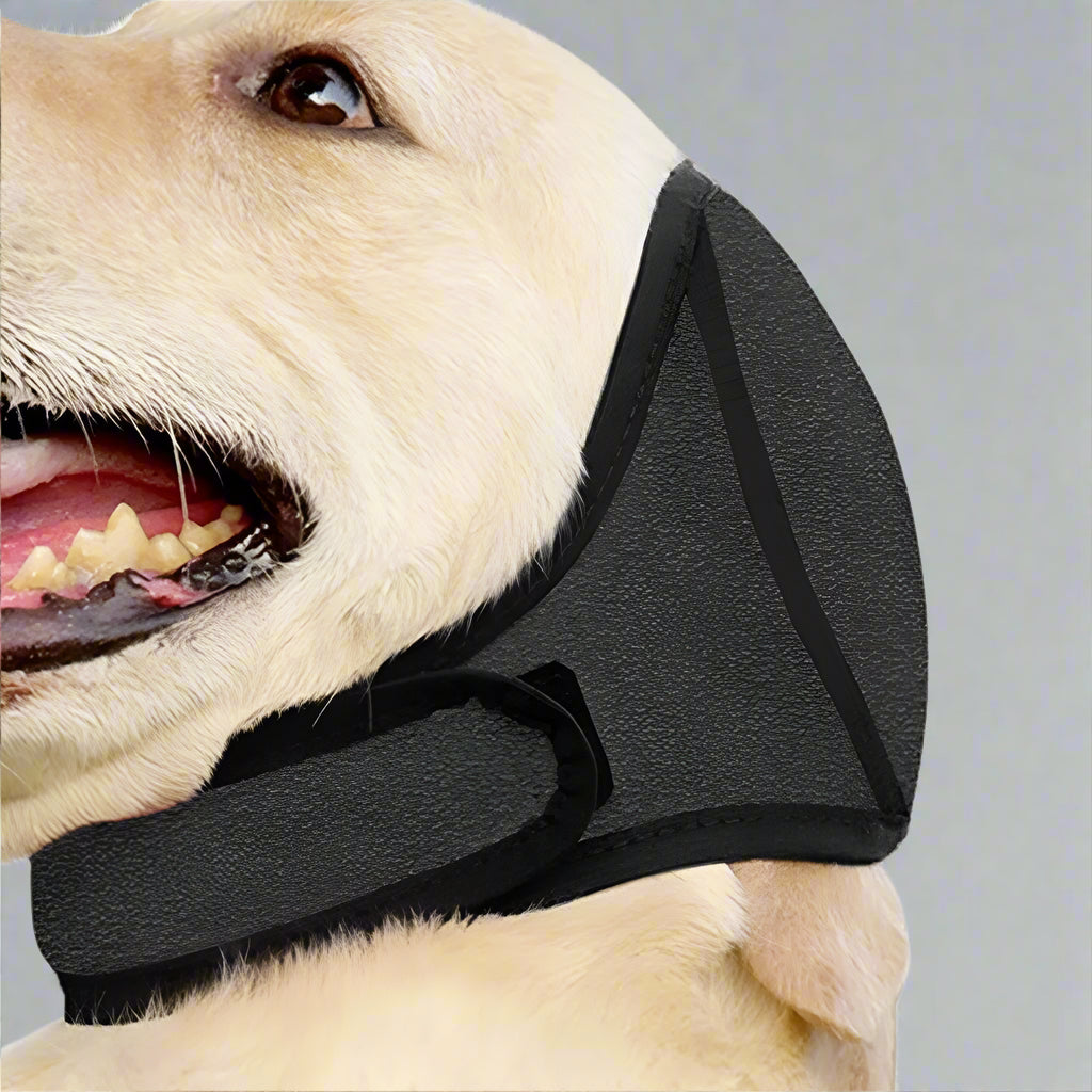 Dog Calming Earmuff