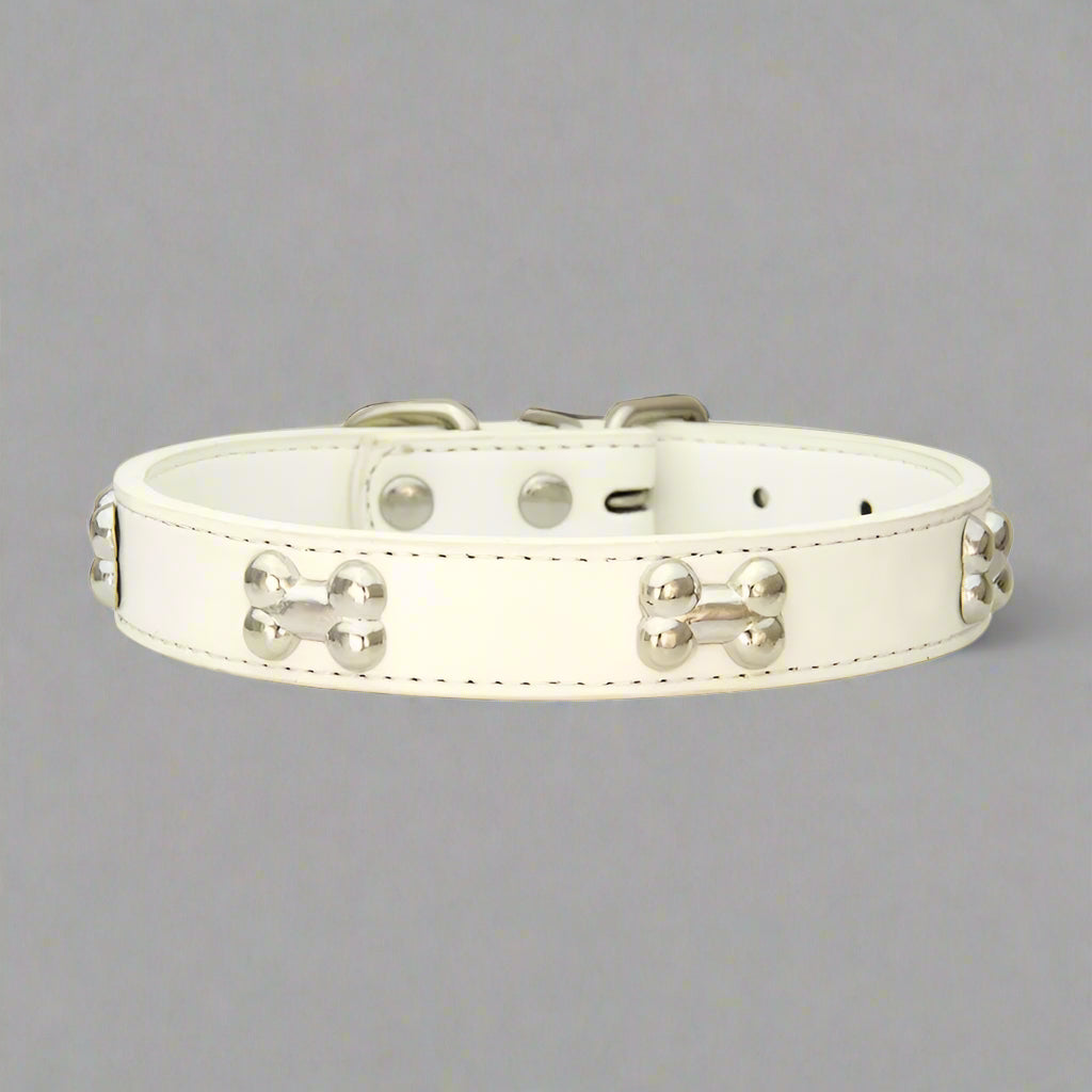 Bone Leather Pet Collar