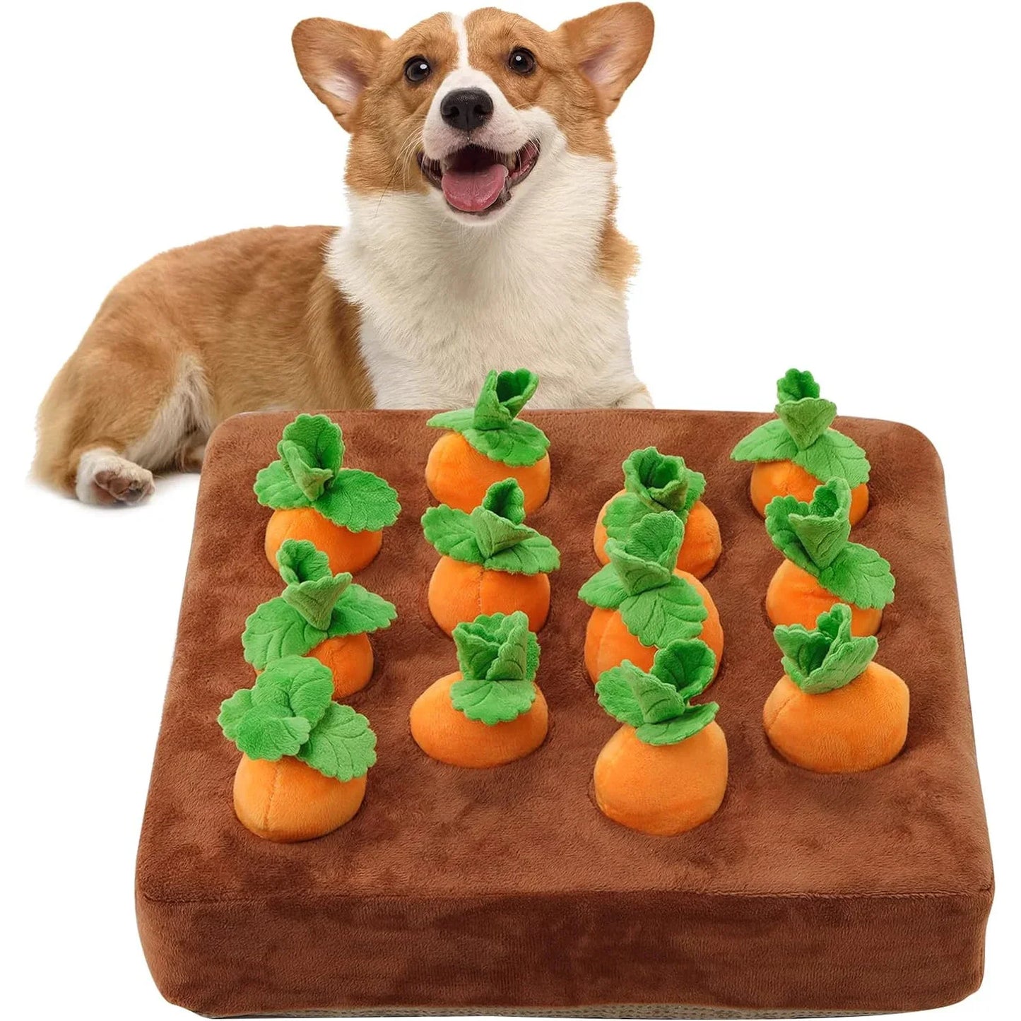 Interactive Carrot Snuffle Mat For Dogs