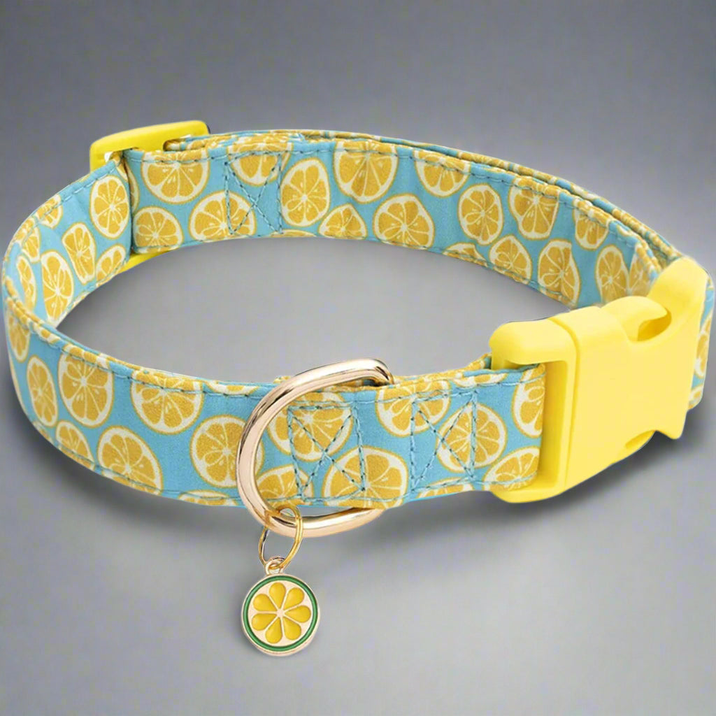 La Frutta – Pet Collar Collection