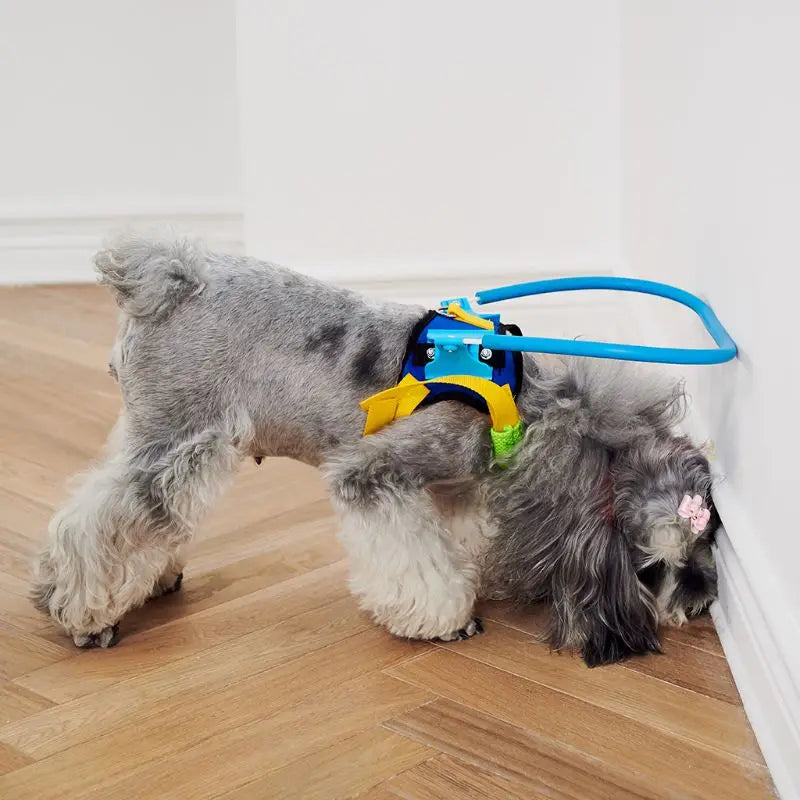 Blind Pet Anti-Collision Harness