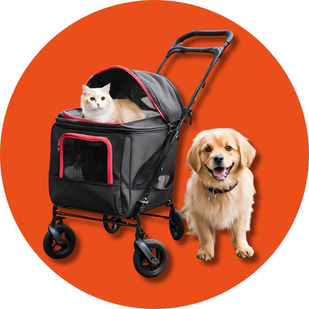 Bags and Strollers