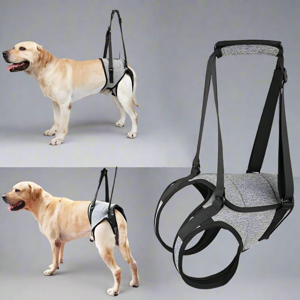 Dog Lift Back Leg Sling Support