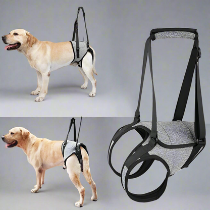 Dog Lift Back Leg Sling Support