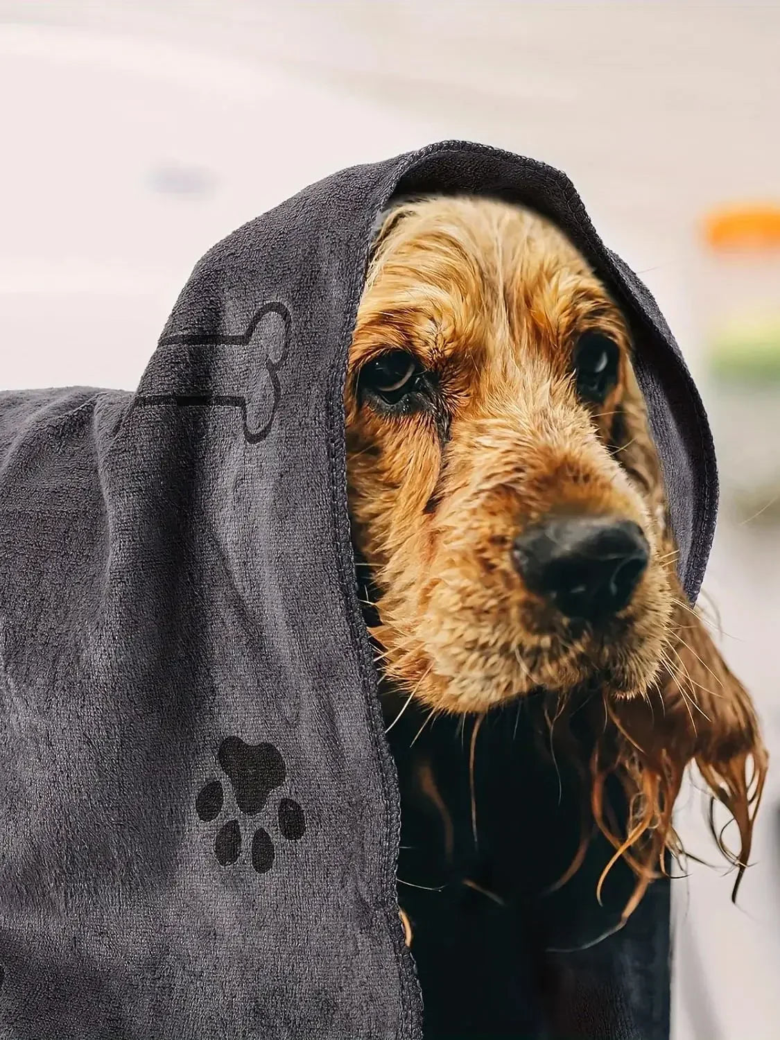 Absorbent Microfiber Dog Towel