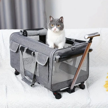 Portable Pet Trolley Case