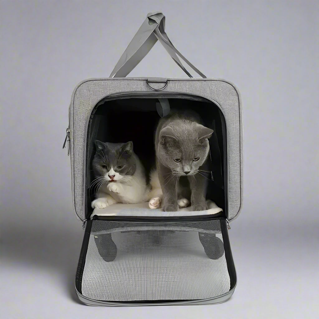 Portable Pet Trolley Case