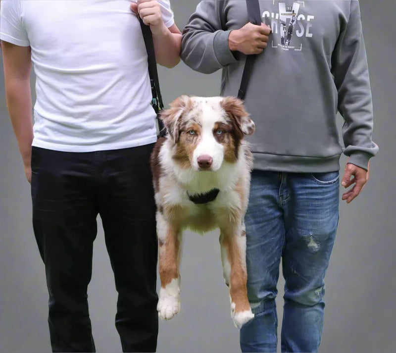 Big Dogs Assist Lifting Harness
