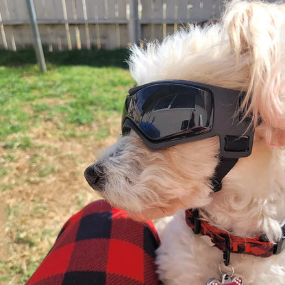 Pets UV Protection Sunglasses