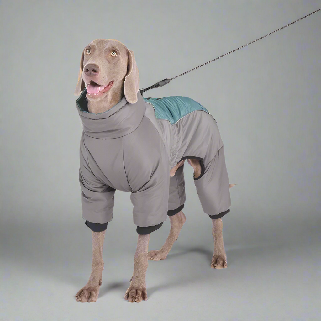 Extra-Large Waterproof Dog Jumpsuit