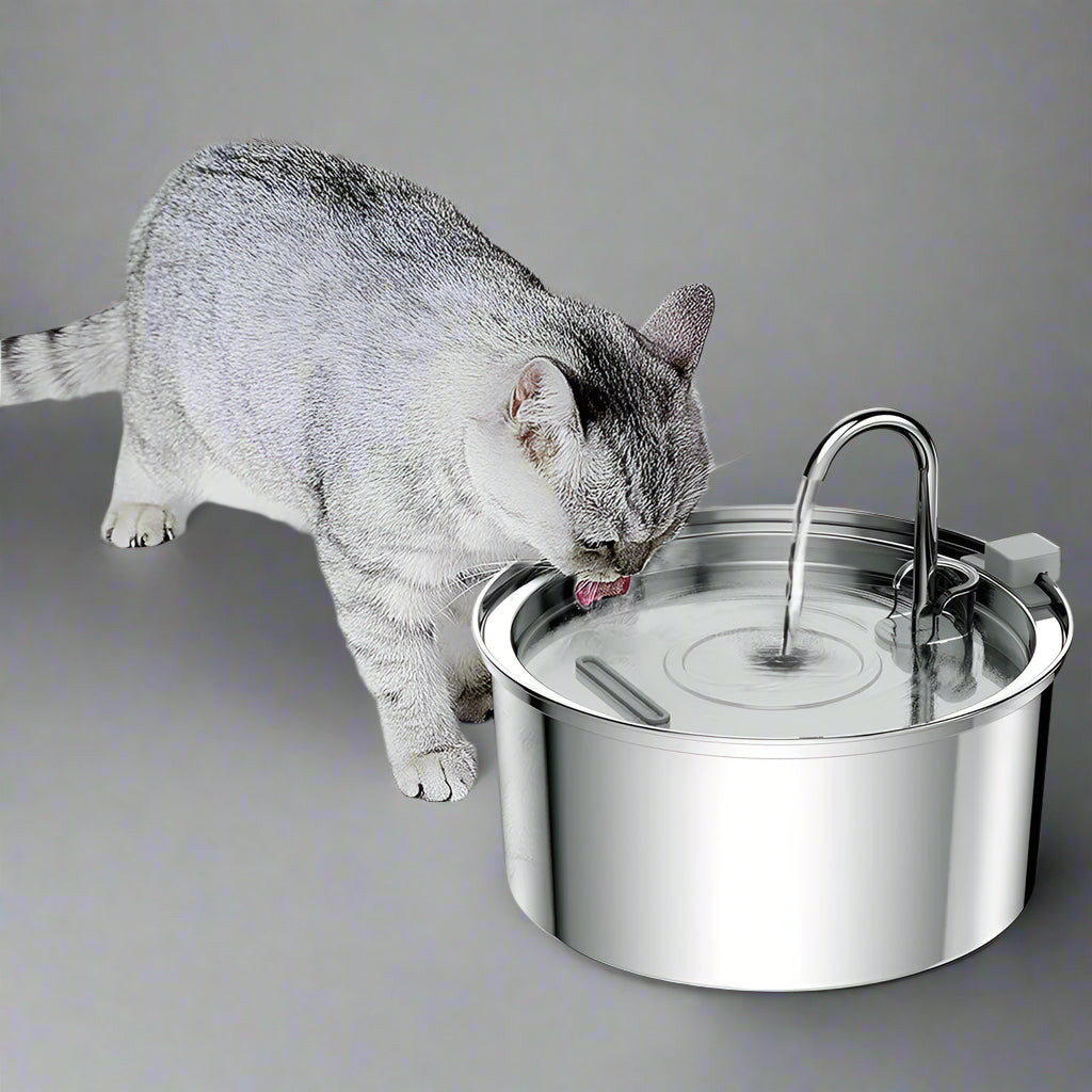 Automatic Water Fountain Bowl