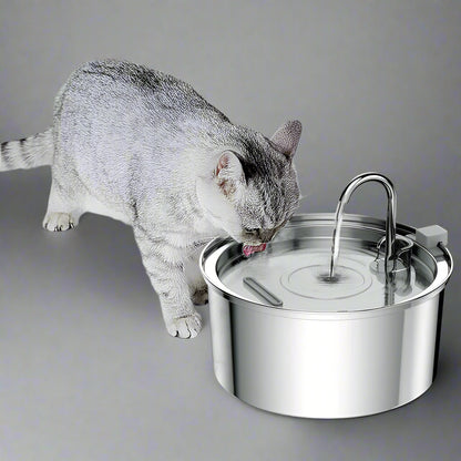 Automatic Water Fountain Bowl