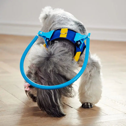 Blind Pet Anti-Collision Harness