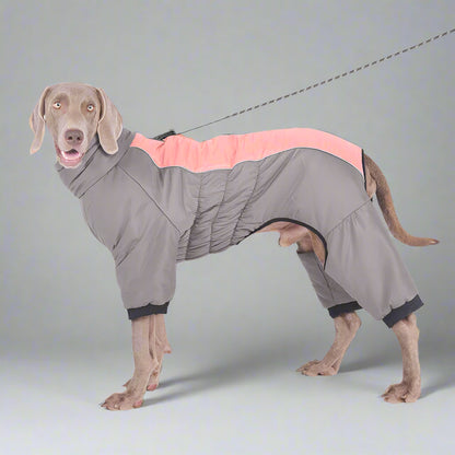 Extra-Large Waterproof Dog Jumpsuit