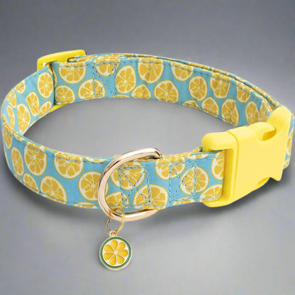 La Frutta – Pet Collar Collection
