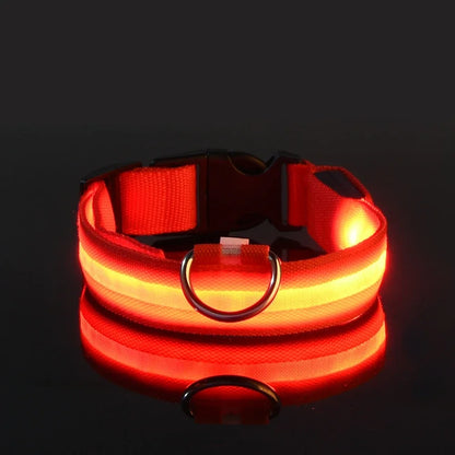 Safety LED Dog Collar