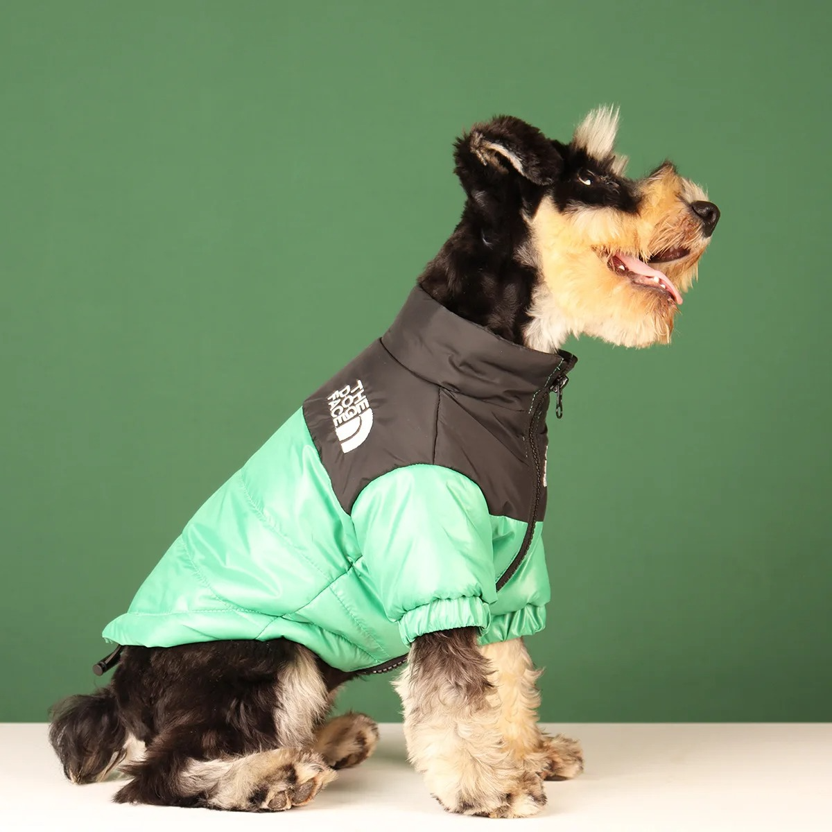The Dog Face Explorer Jacket