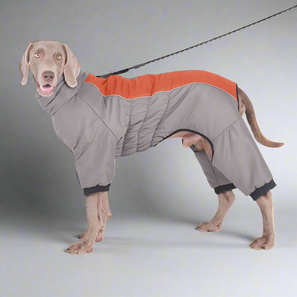 Extra-Large Waterproof Dog Jumpsuit