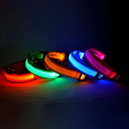 Safety LED Dog Collar