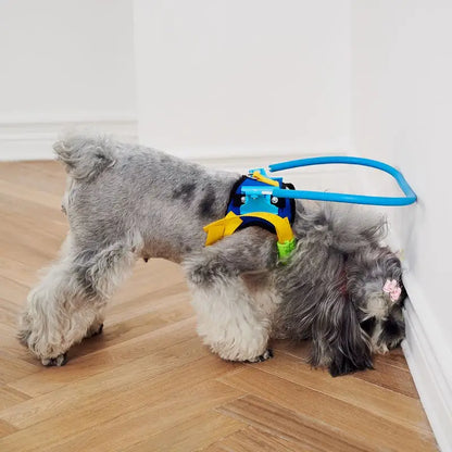 Blind Pet Anti-Collision Harness