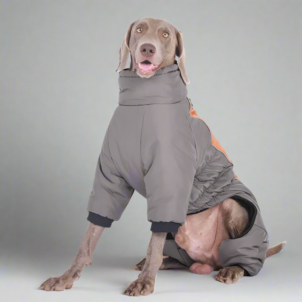 Extra-Large Waterproof Dog Jumpsuit