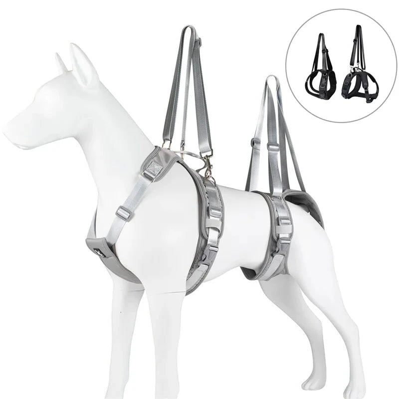 Dogs Split Sling Support Front and Back Legs