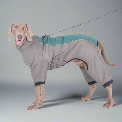 Extra-Large Waterproof Dog Jumpsuit