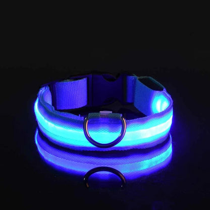 Safety LED Dog Collar