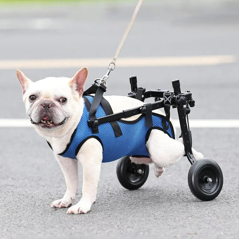 Dog and Cat Wheelchair Back Legs