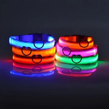 Safety LED Dog Collar