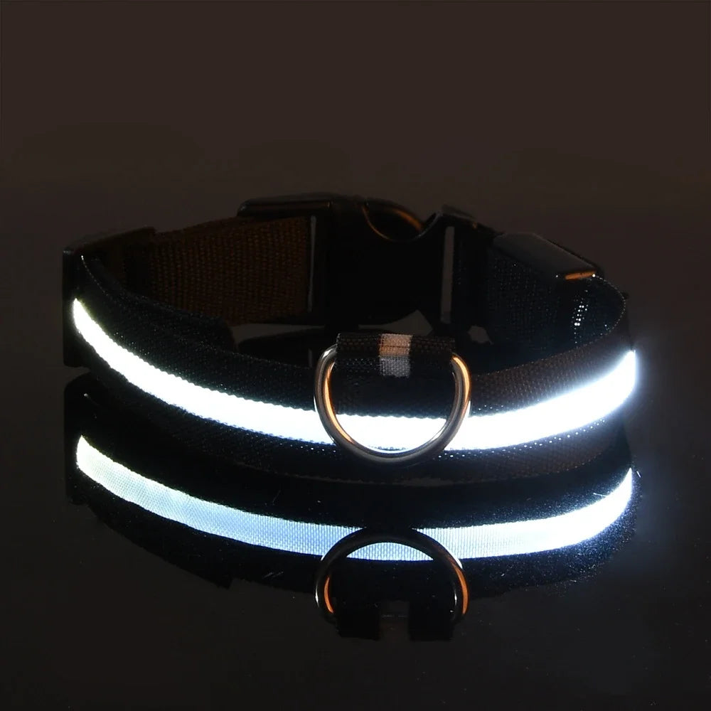 Safety LED Dog Collar