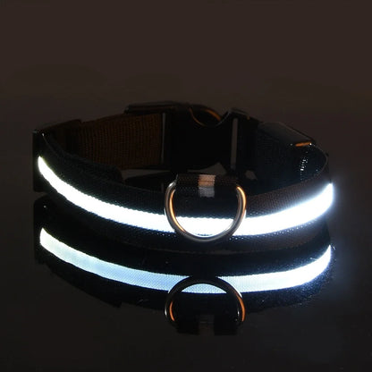 Safety LED Dog Collar