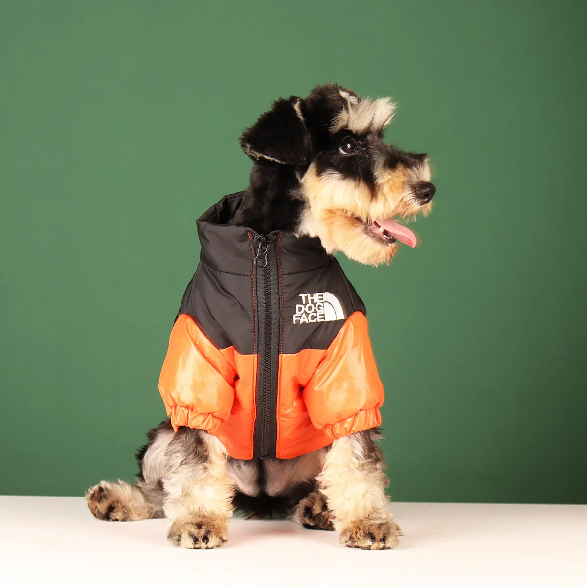 The Dog Face Explorer Jacket