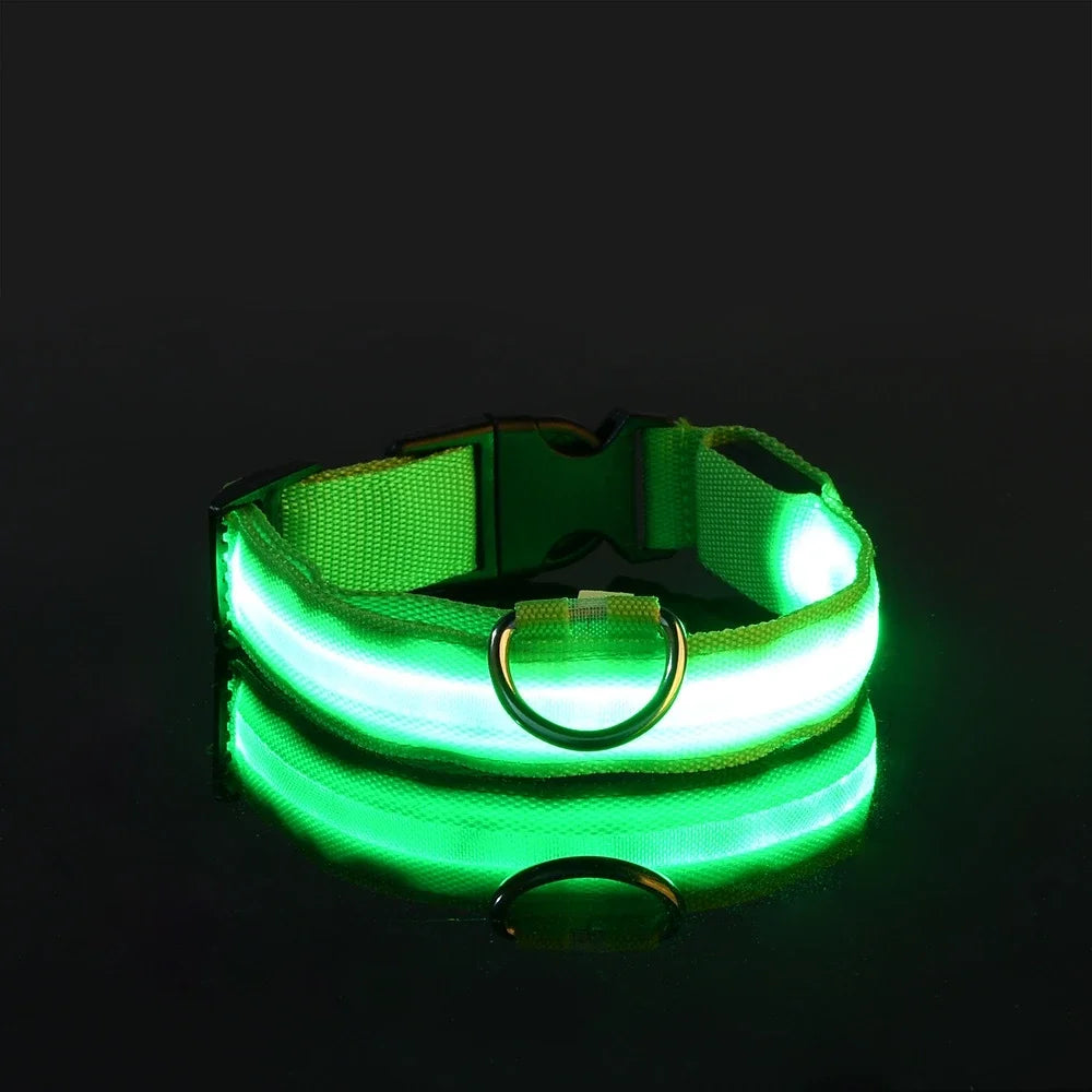 Safety LED Dog Collar
