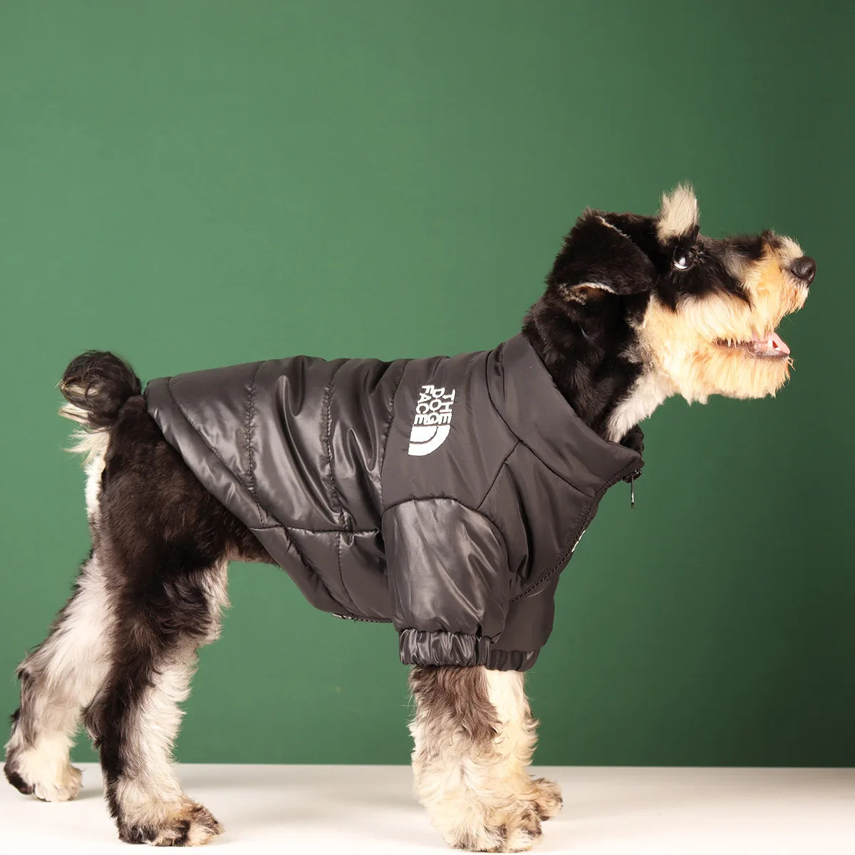 The Dog Face Explorer Jacket