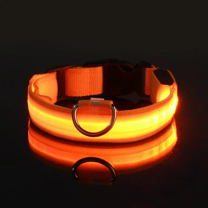 Safety LED Dog Collar