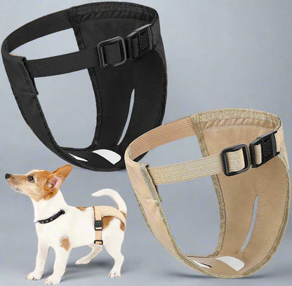 Gentle Care Dog Diapers