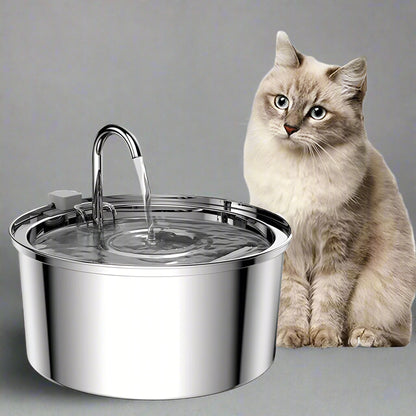 Automatic Water Fountain Bowl