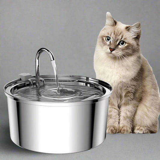 Automatic Water Fountain Bowl