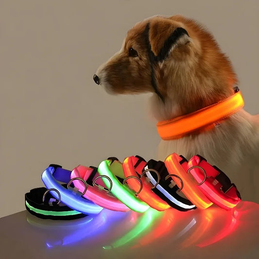 Safety LED Dog Collar
