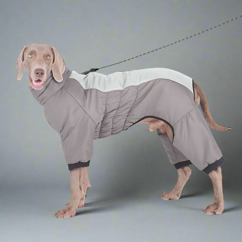 Extra-Large Waterproof Dog Jumpsuit