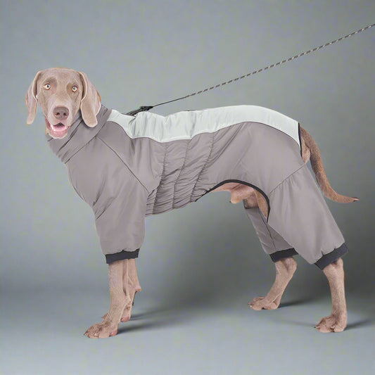 Extra-Large Waterproof Dog Jumpsuit
