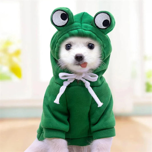 Froggy Snuggles Pet Hoodie
