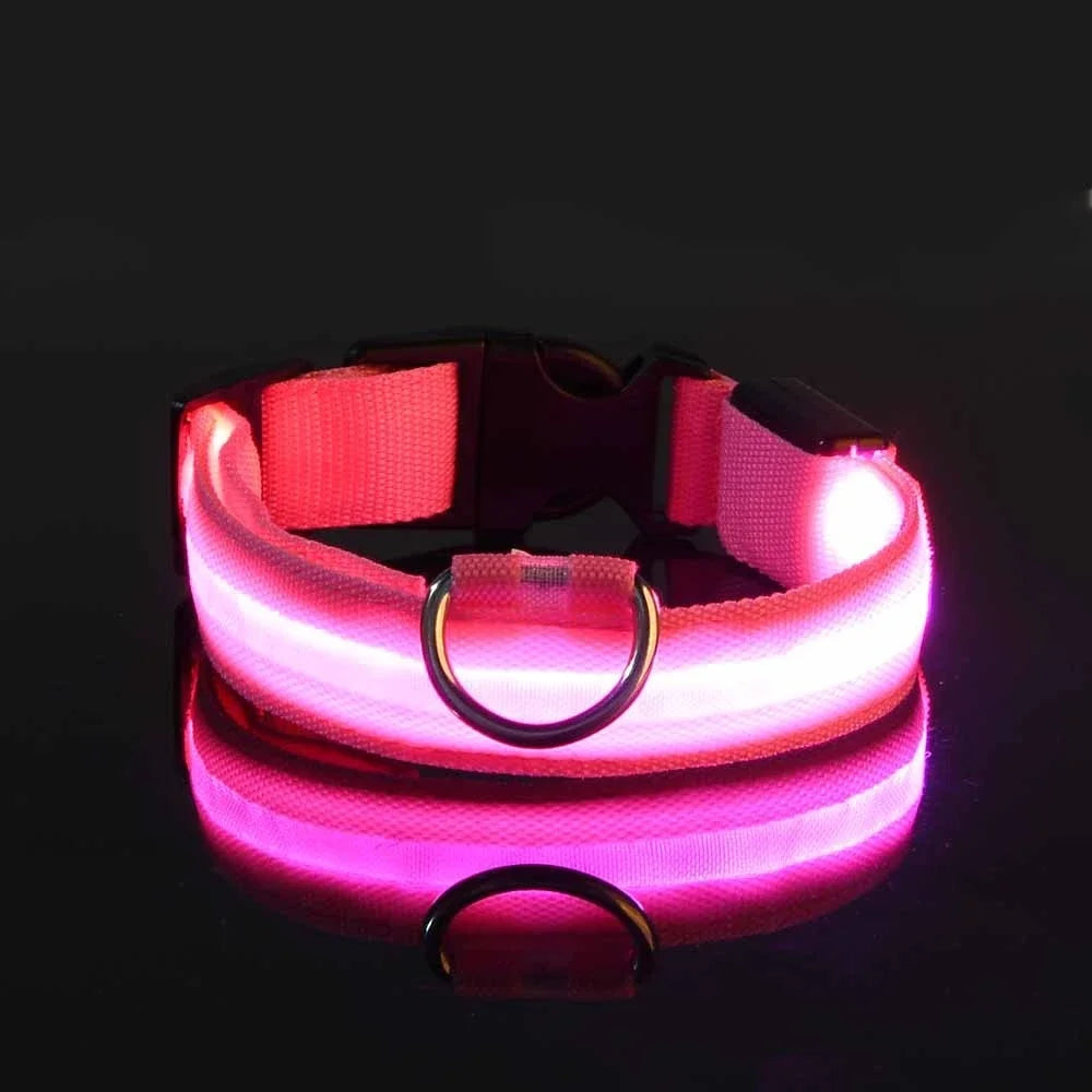Safety LED Dog Collar