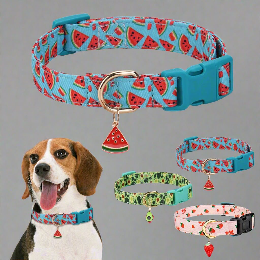 La Frutta – Pet Collar Collection