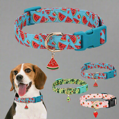 La Frutta – Pet Collar Collection
