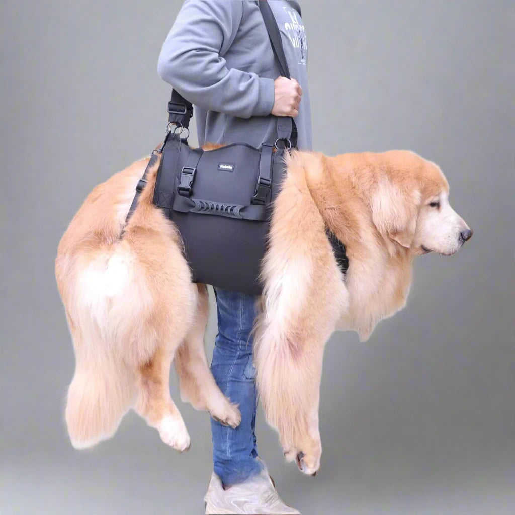 Big Dogs Assist Lifting Harness