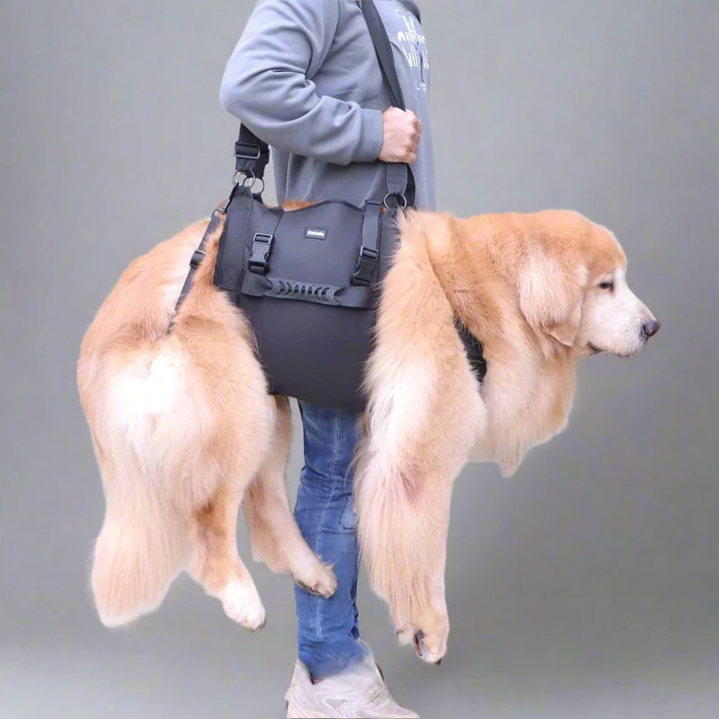 Big Dogs Assist Lifting Harness