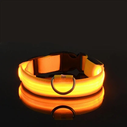Safety LED Dog Collar